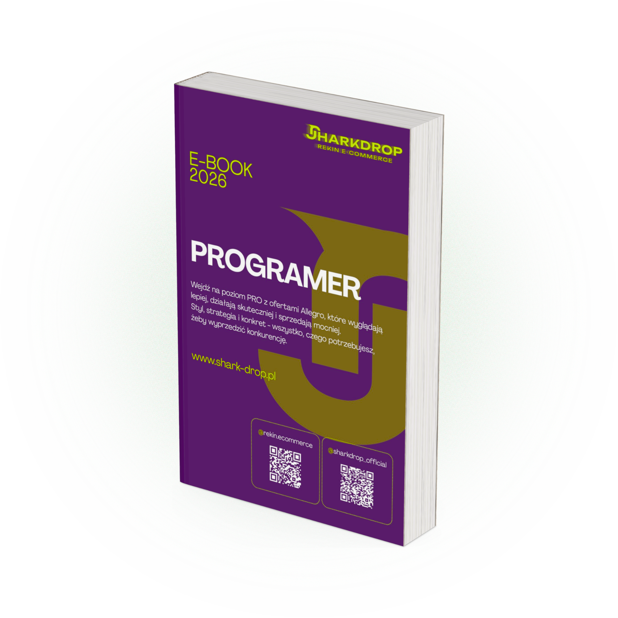 Okładka rozdziału Programer